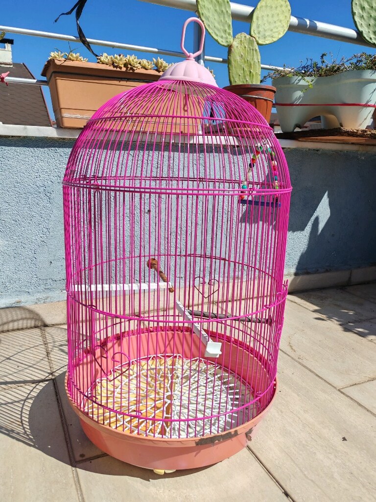 Kuş Papağan Kafesi - 2
