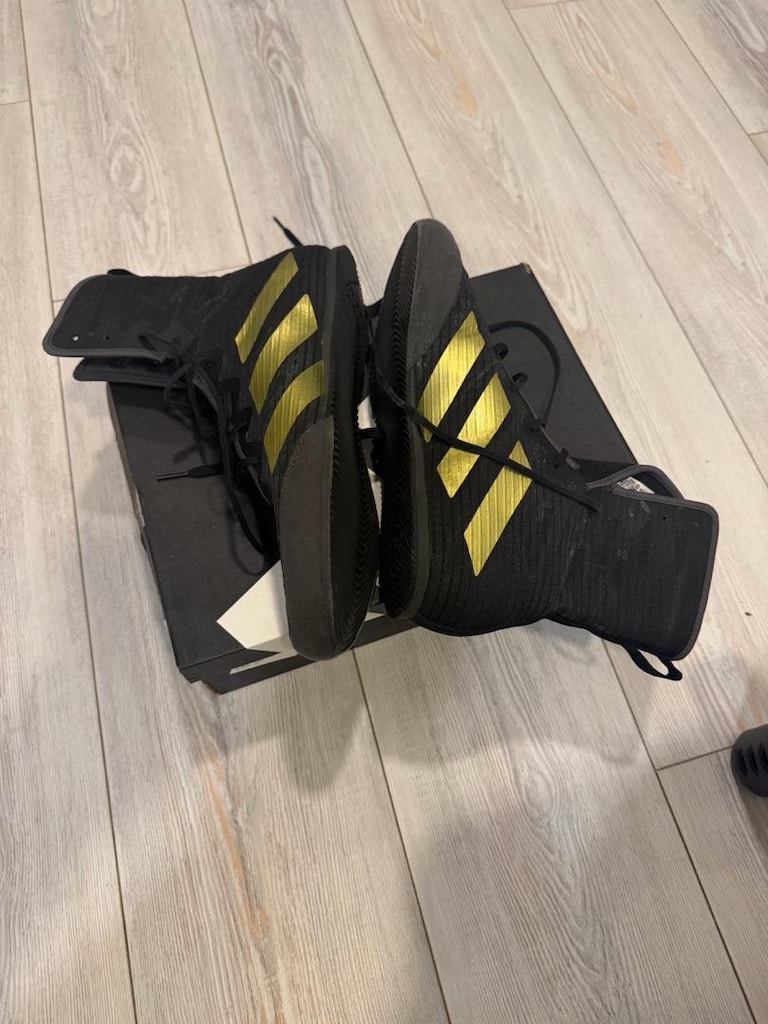 Adidas Box Hog 4 Boks ayakkabısı - 2