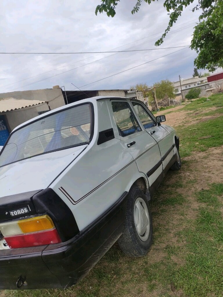 torosss - 6