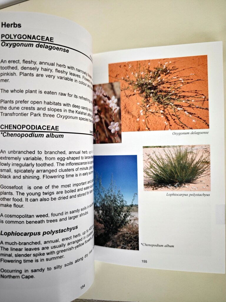Kitap / Flowering Plants of the Kalahari Dunes - 5