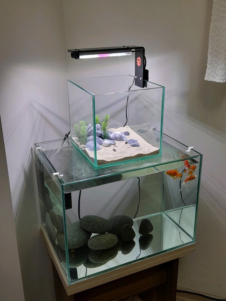 nano akvaryum mini 20x20x20 clear - 13