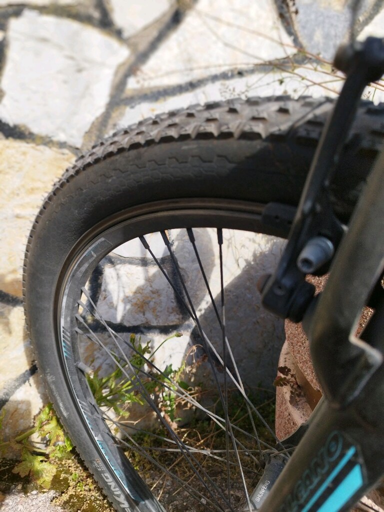 Salcano NG650 Dağ Bisikleti - 3