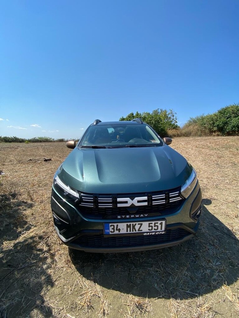 Tertemiz Dacia Sandero Stepway extrem - 4