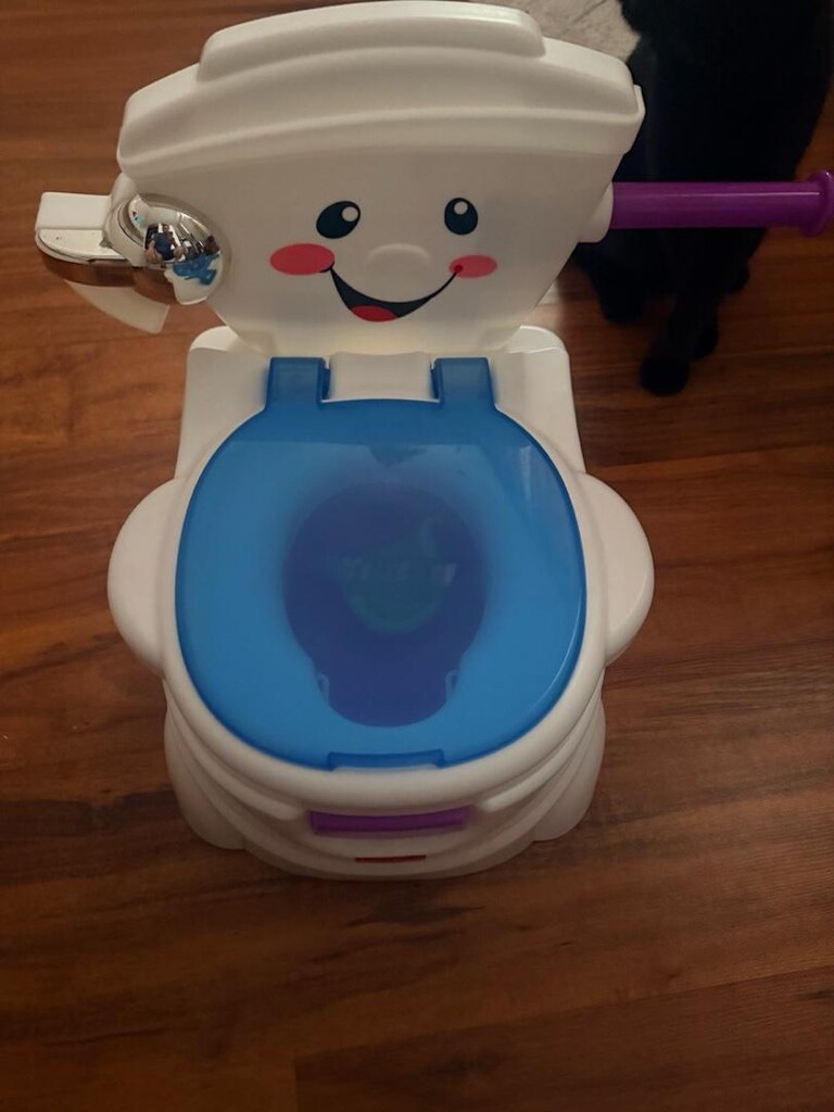Fisher-Price Eğitici Eğlenceli Tuvalet – Kutulu, Temiz ve Eksiksiz - 4
