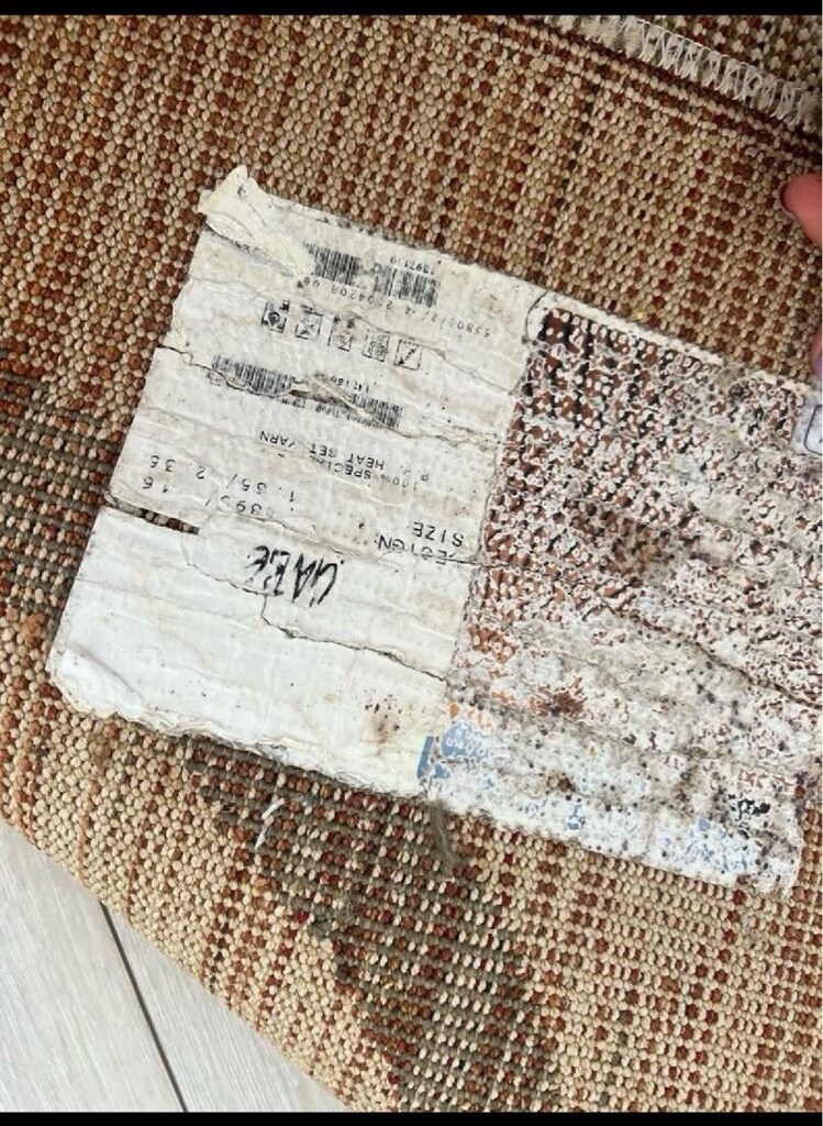 6m2 KALIN HALI - 6
