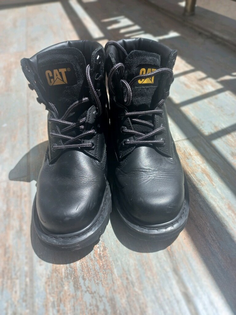 Cat Bot (orjinal) - 2