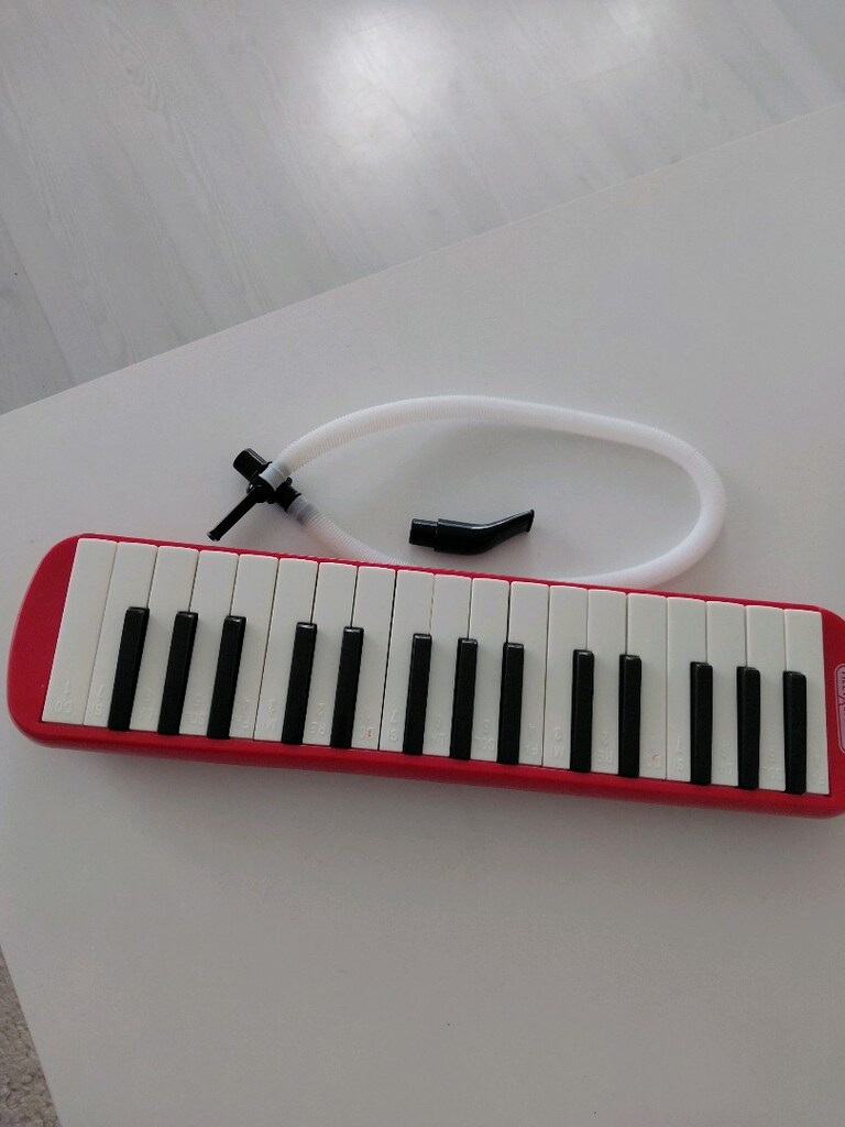 melodika - 5