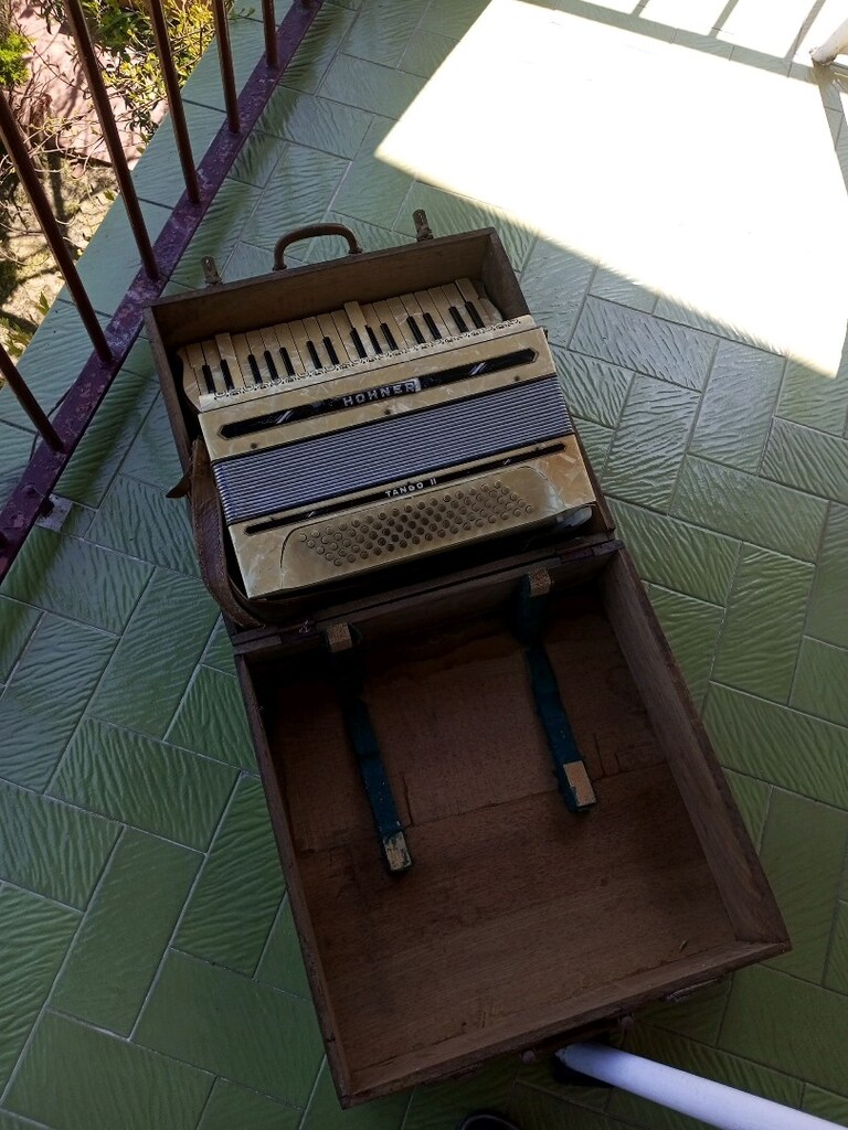 Antika Masif Ahşap Sandıklı Hohner Akardion (min. 110 senelik) - 8