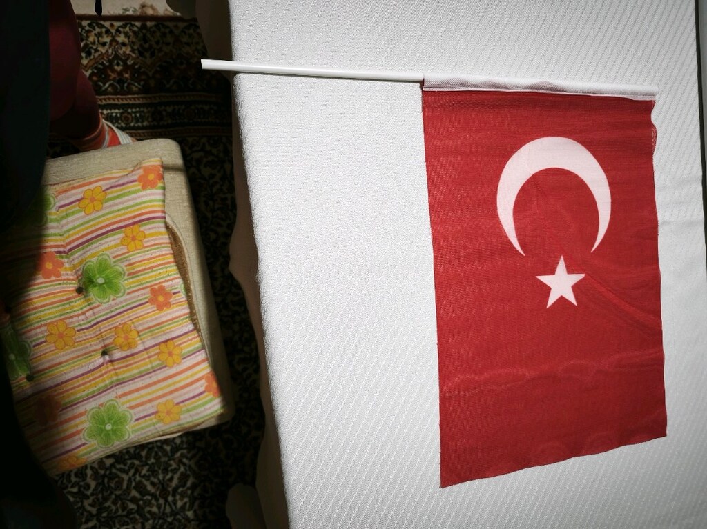 Kağıt Türk Bayrağı saplı 30,5*20,5 cm. - 4