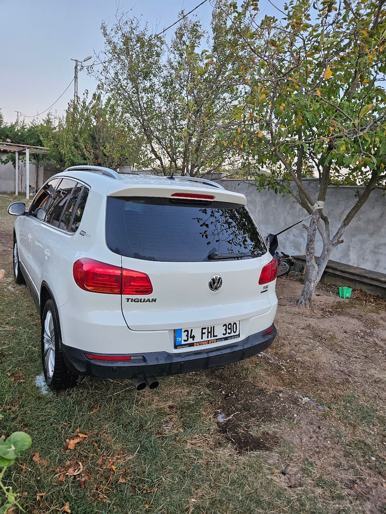 Temiz aile arabası - 13