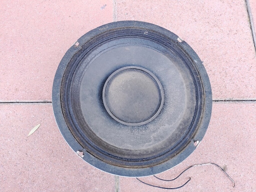 CELESTİON PROFESYONEL HOPARLÖR 30 CM - 2