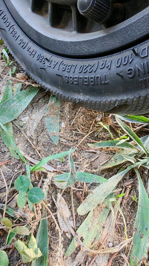 SEGWAY F3 PRO SIFIR NEYSE O - 6
