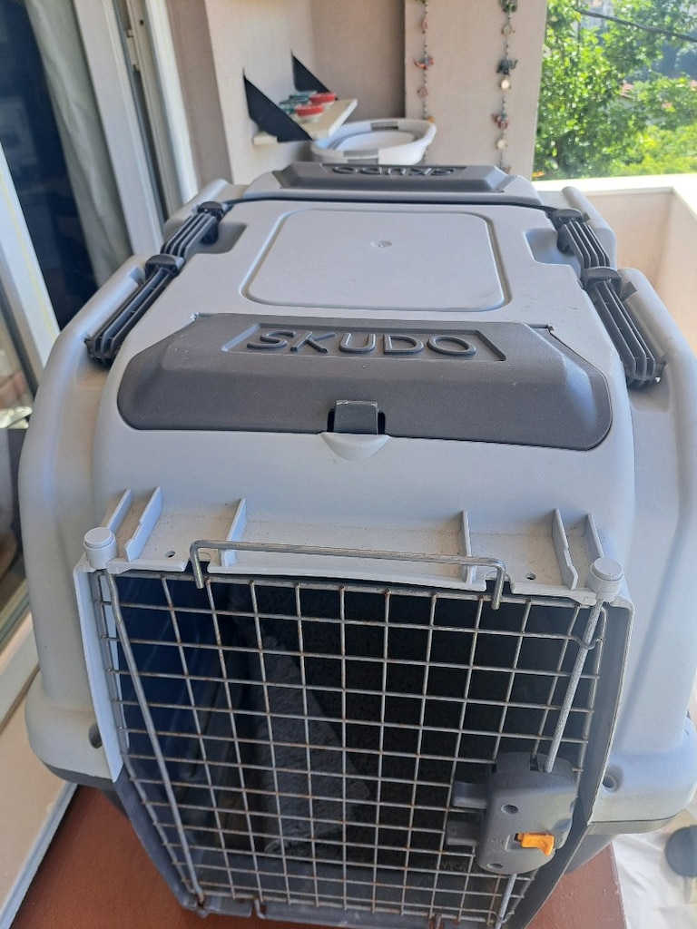 skudo köpek box