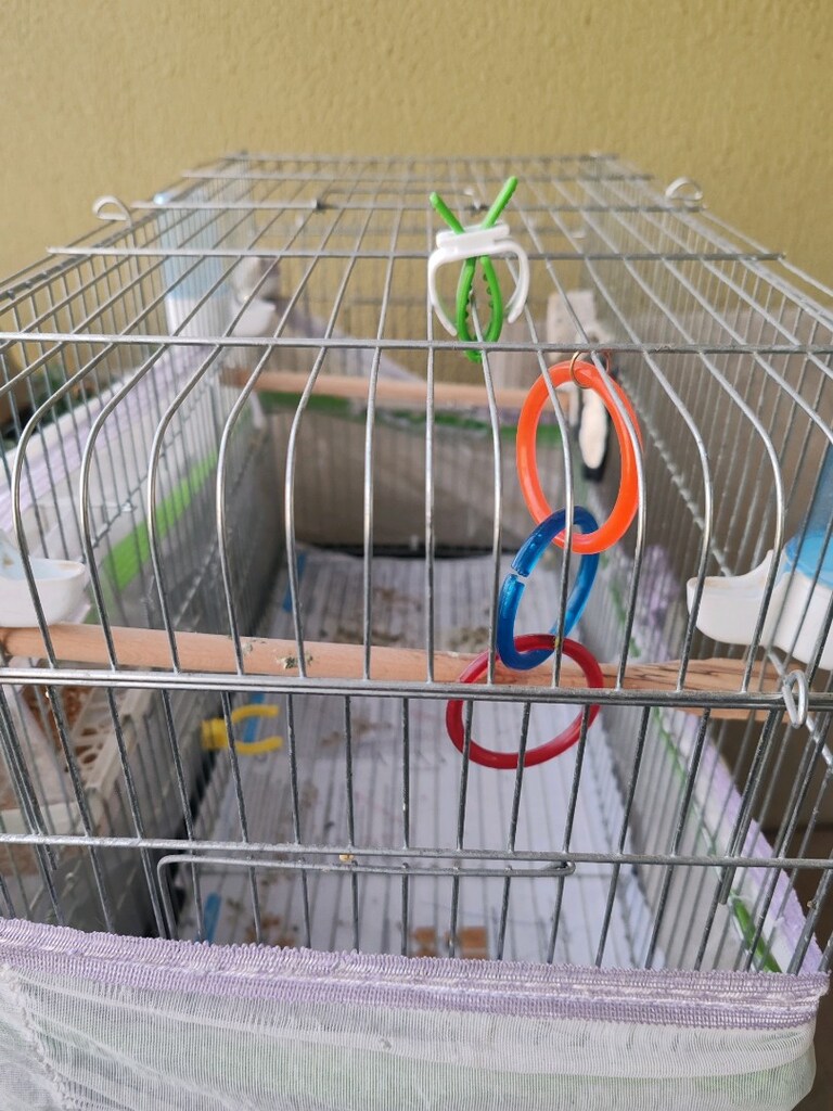 Büyük boy kuş Kafesi - 3
