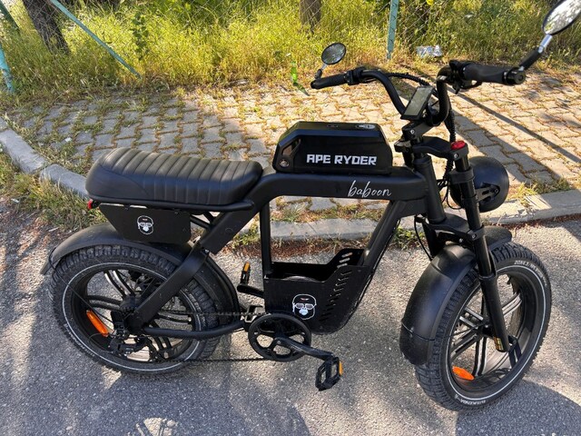 Ape Ryder Baboon