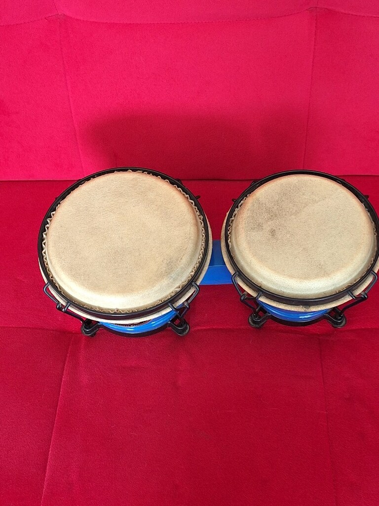 Bongo - 6