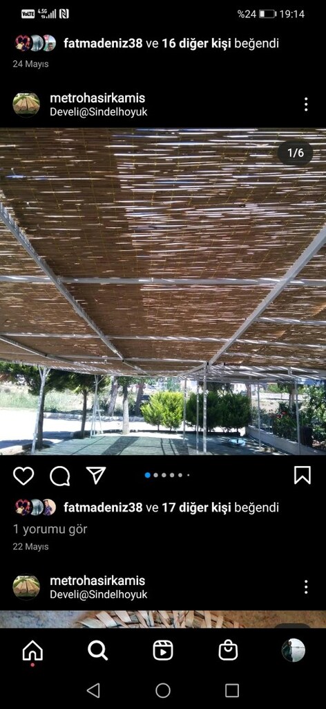 hasır kamış kargı çit - 8