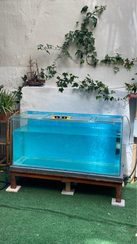 140cm akvaryum ve koi balıkları - 4