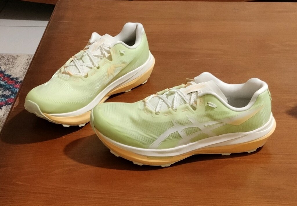 Asics Fujispeed 4. 44,5 numara - 3