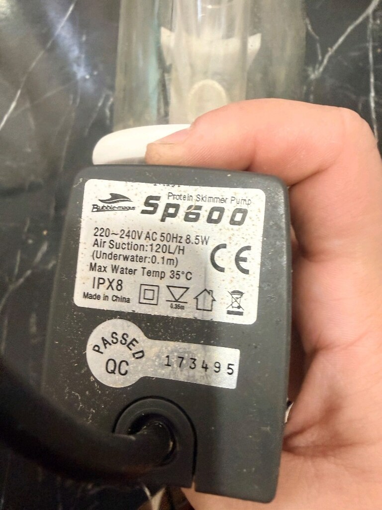 BUGÜNE Bubble Magus QQ1 Nano Protein Skimmer - Kutulu Tuzlu Su - 4