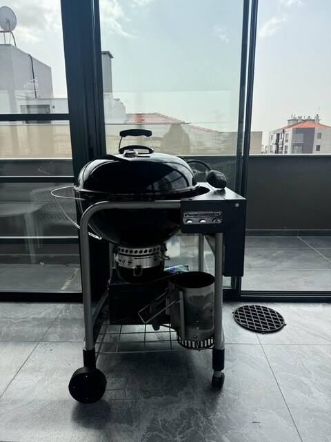 weber performer gbs 57 cm