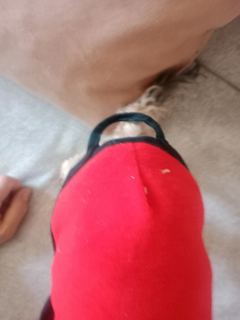 S beden köpek giysisi - 2