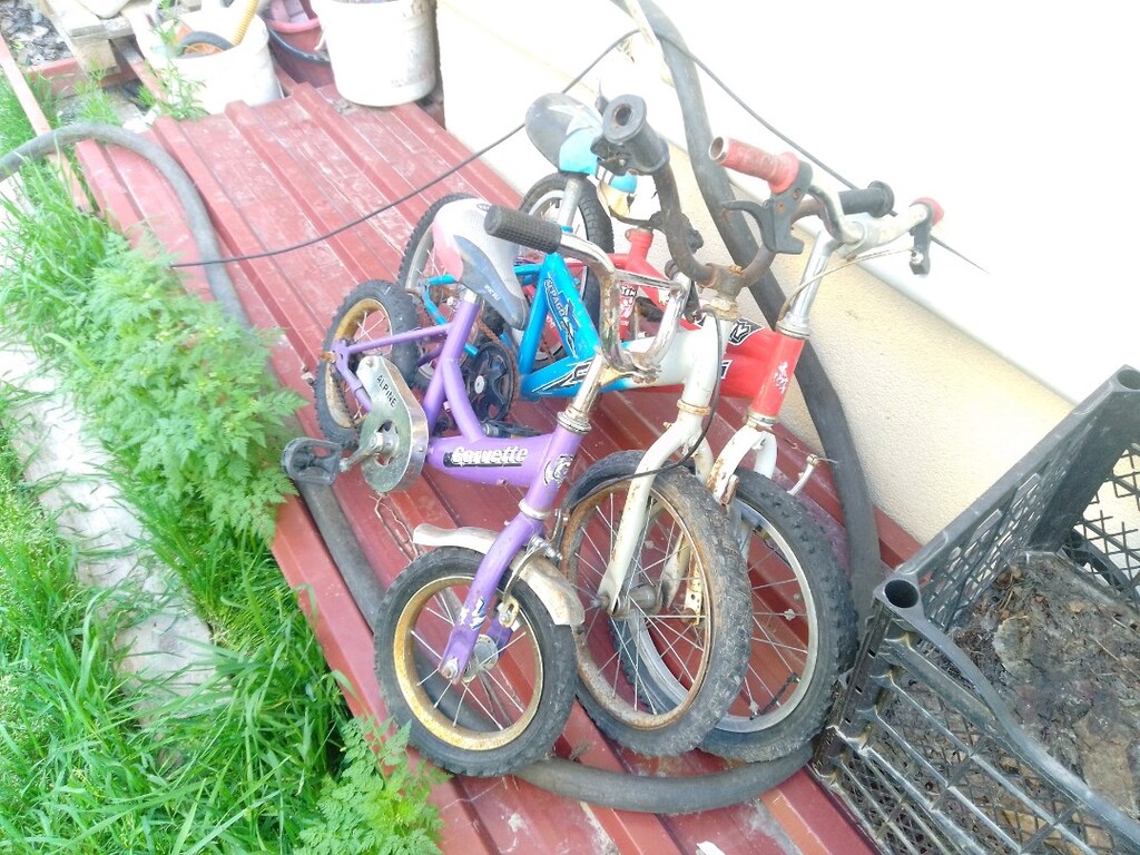 3 adet bisiklet - 2
