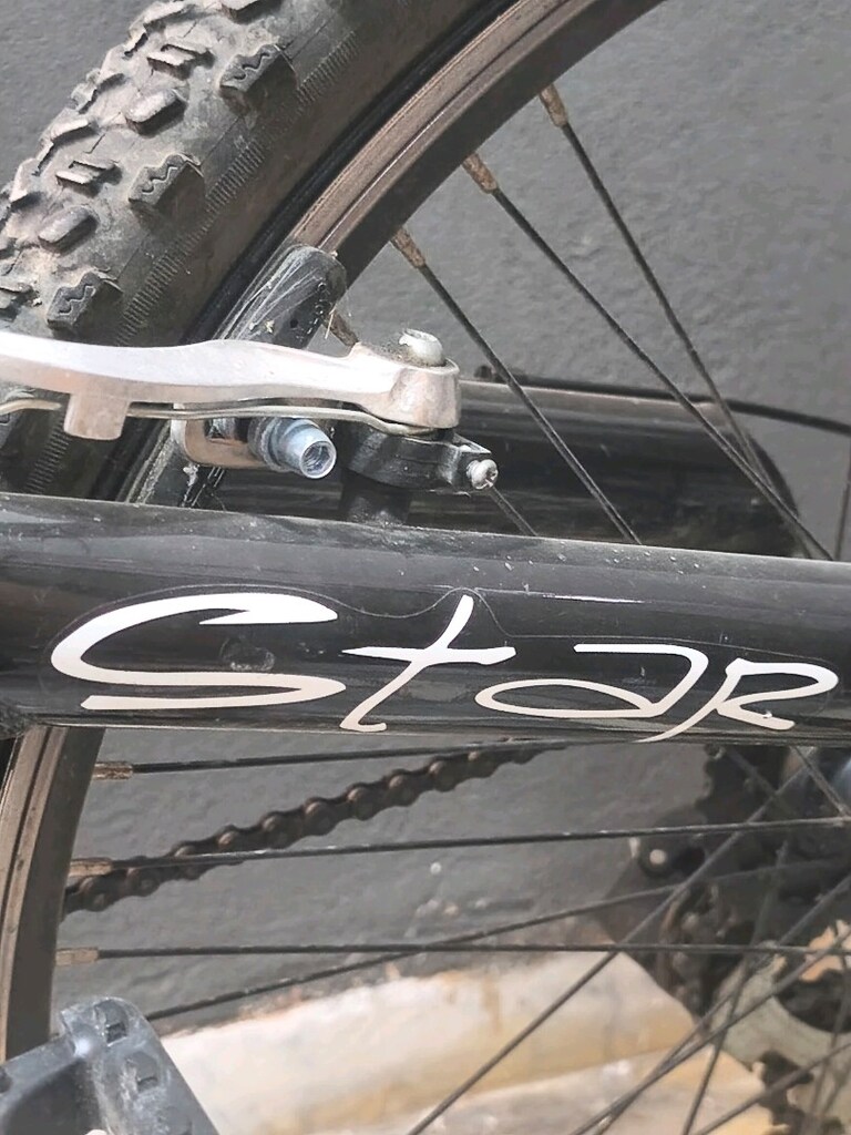 Bianchi Star - 24 jant - 21 vites - Dağ Bisikleti - 13