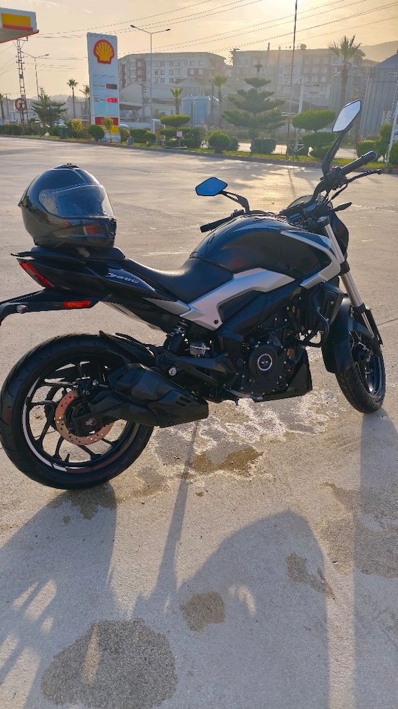 CANAVAR GİBİ DOMİNAR 250 2024 - 2