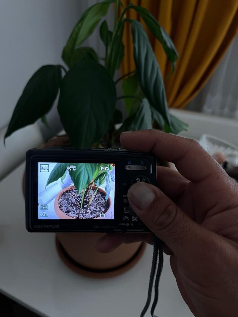 OLYMPUS MJU TOUCH 6610 DİJİTAL FOTOĞRAF MAKİNESİ - 10