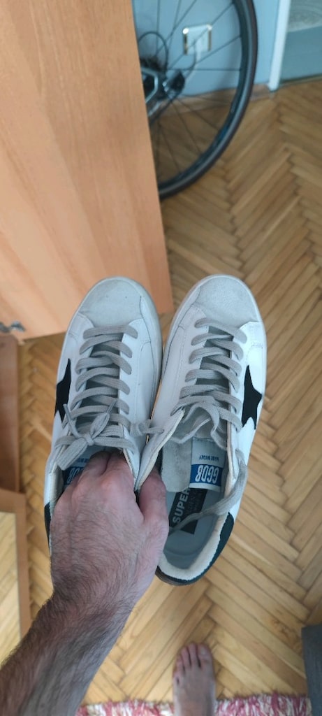 golden goose - 8