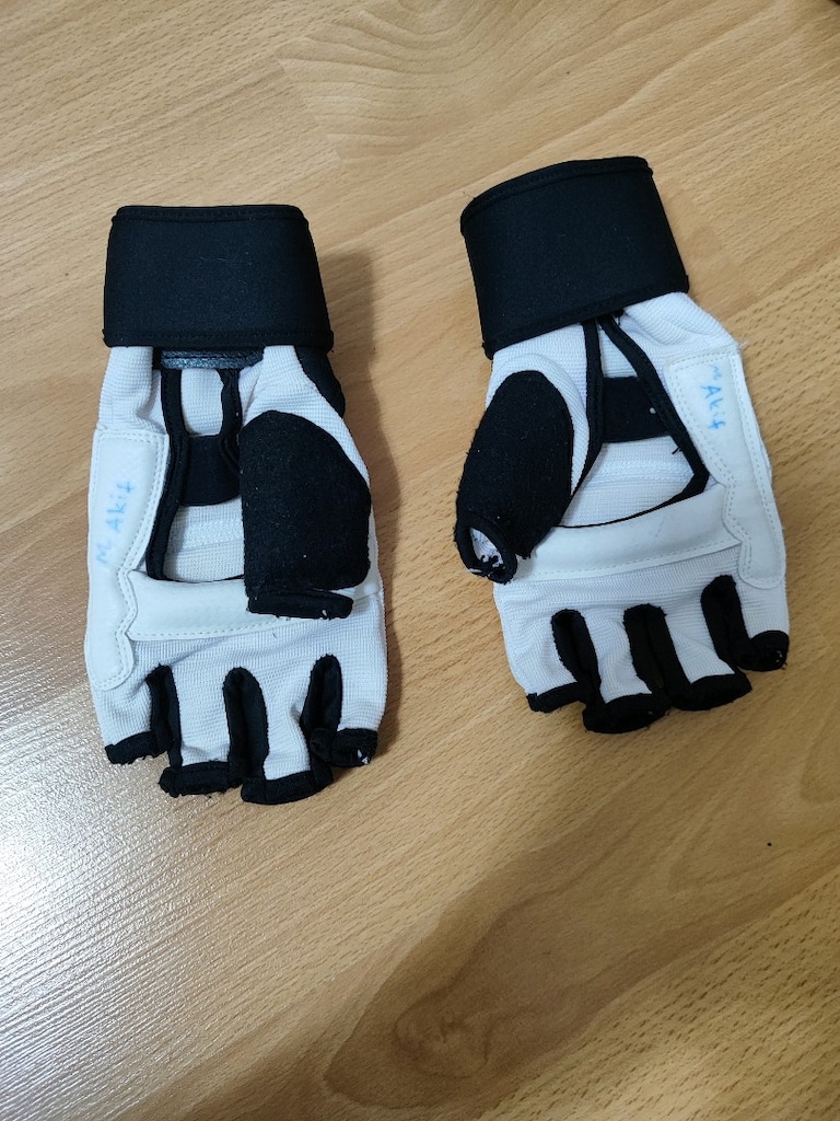 Taekwondo eldiven - 2