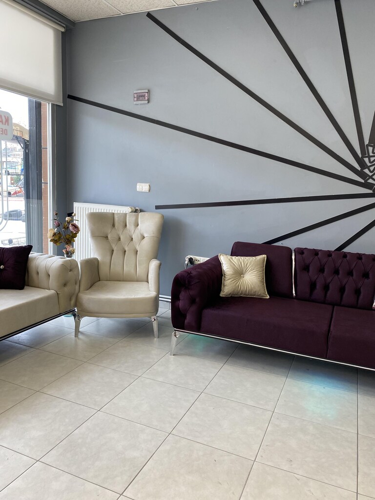 Premium Salon Koltuk Takımı oturma grubu - 3