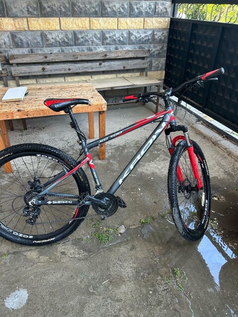 29 jant kron XC100