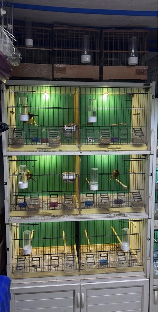 pvc kafes - 3