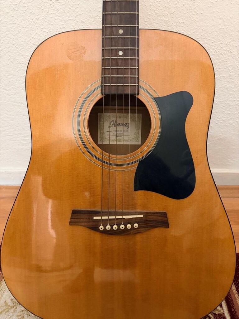 Ibanez Akustik Gitar - 14