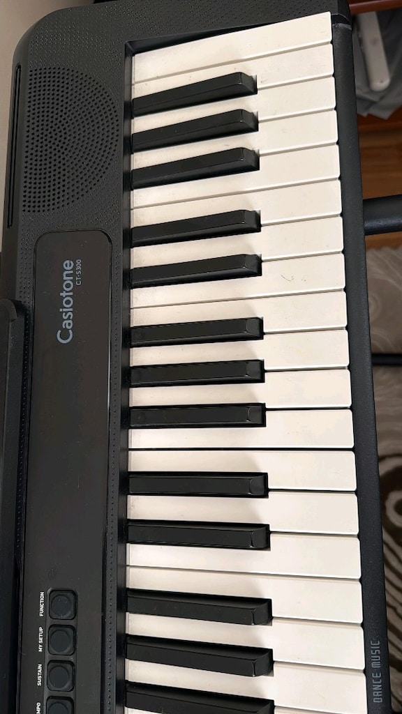 casio casiostone ct-s300 org - 2