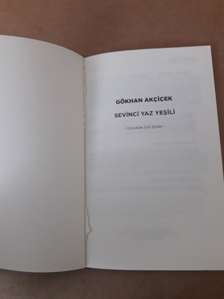 şiir kitapları Gökhan Akçiçek - 7