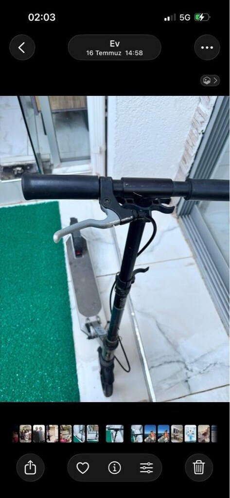 Scoter - 3
