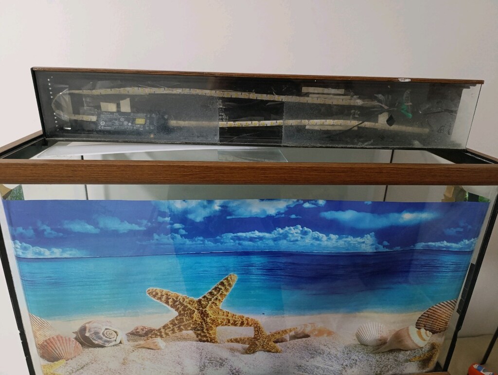 akvaryum - 2