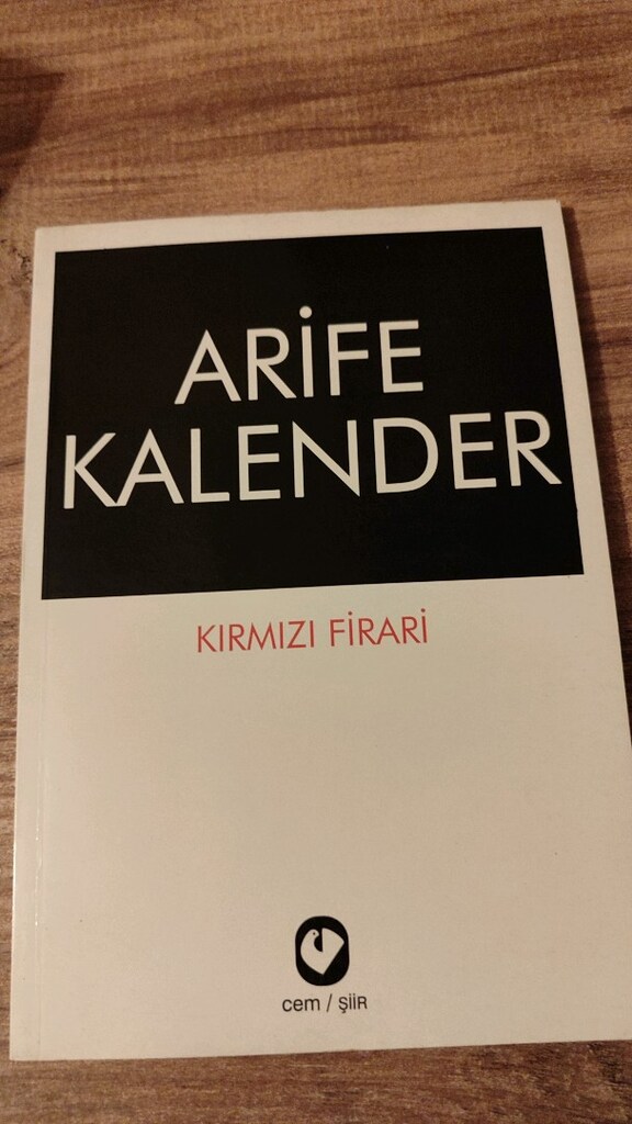 ilk basım nadir kitaplar şiir roman - 4