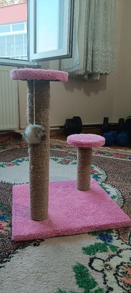 kedi malzemeleri - 13