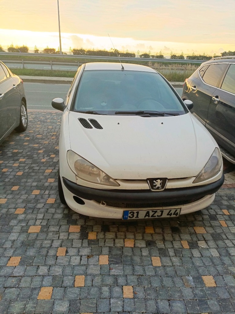 2006 model Peugeot 206 - 2