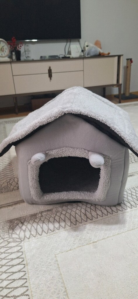 kedi evi - 2