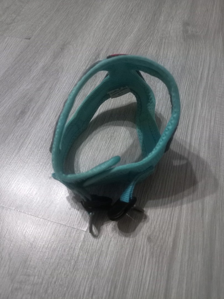 kedi göğüs tasmasi ayarlanabilinir Göğüs 37 cm