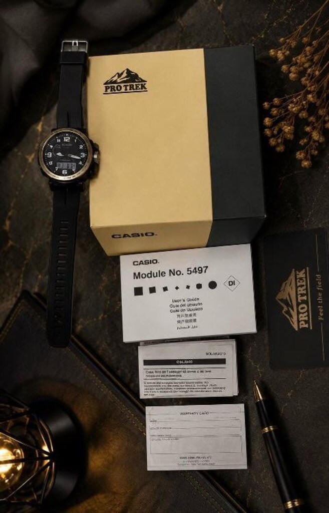 RAYMOND WEIL ve CASIO PROTREK - 10