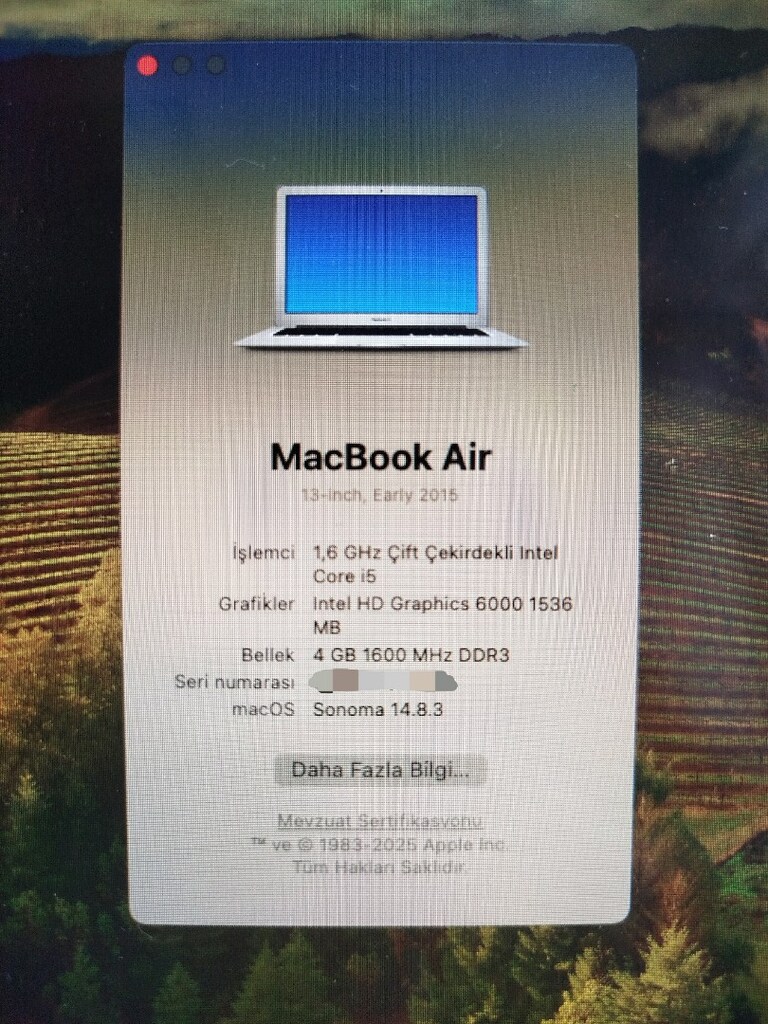 Apple MacBook Air 2015 - 17