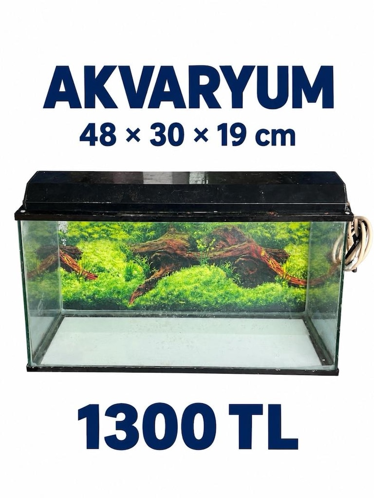 Akvaryumlar - 4