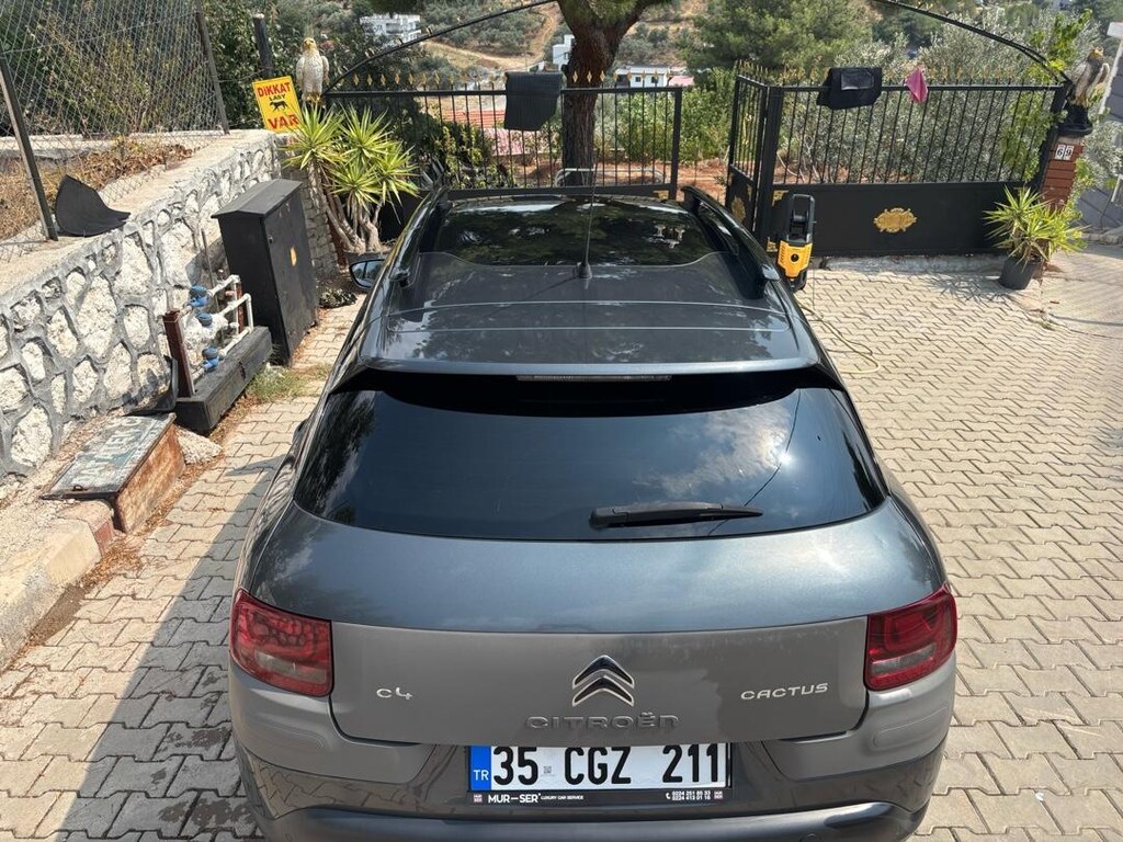 Acil Satılık C4 Cactus - 2