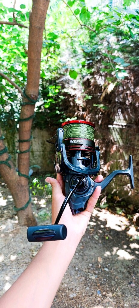 ikado hodor 8000 - 2